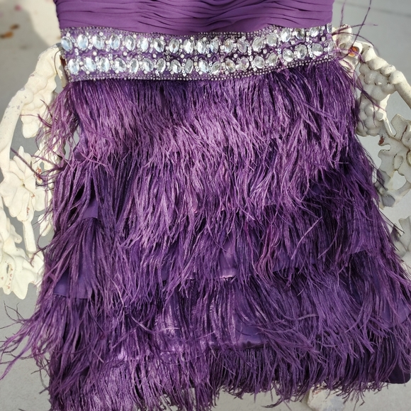 Beautiful feather and Rhinestone Dress - Picture 9 of 11